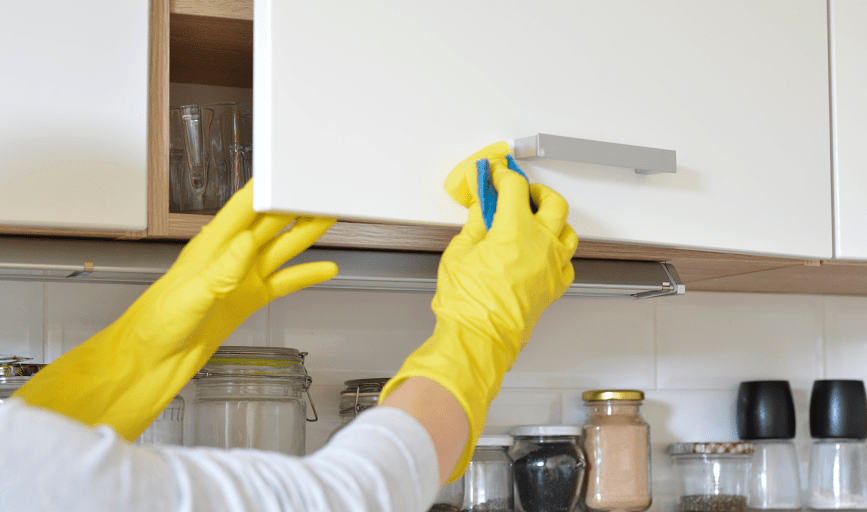 Regal Remote Janitorial Service